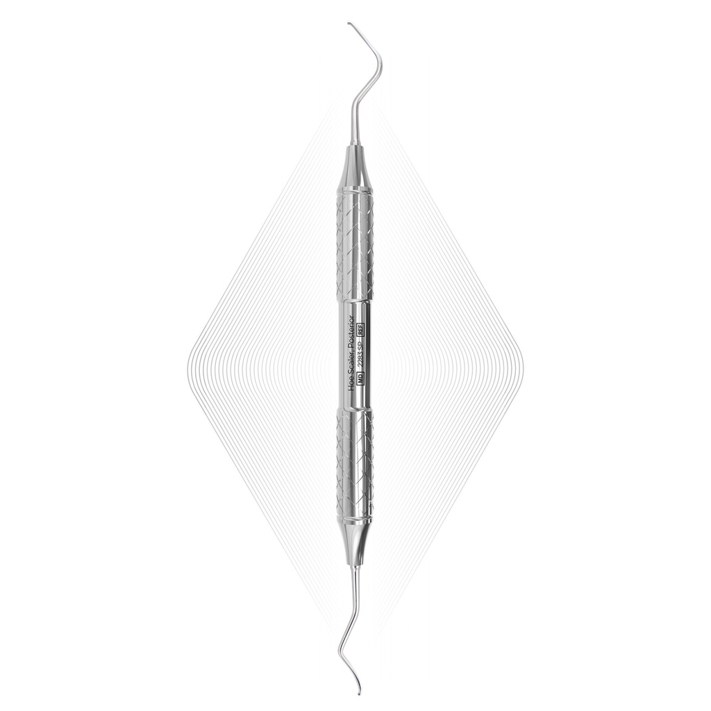 Hoe Scaler, Posterior | ErgoDenta