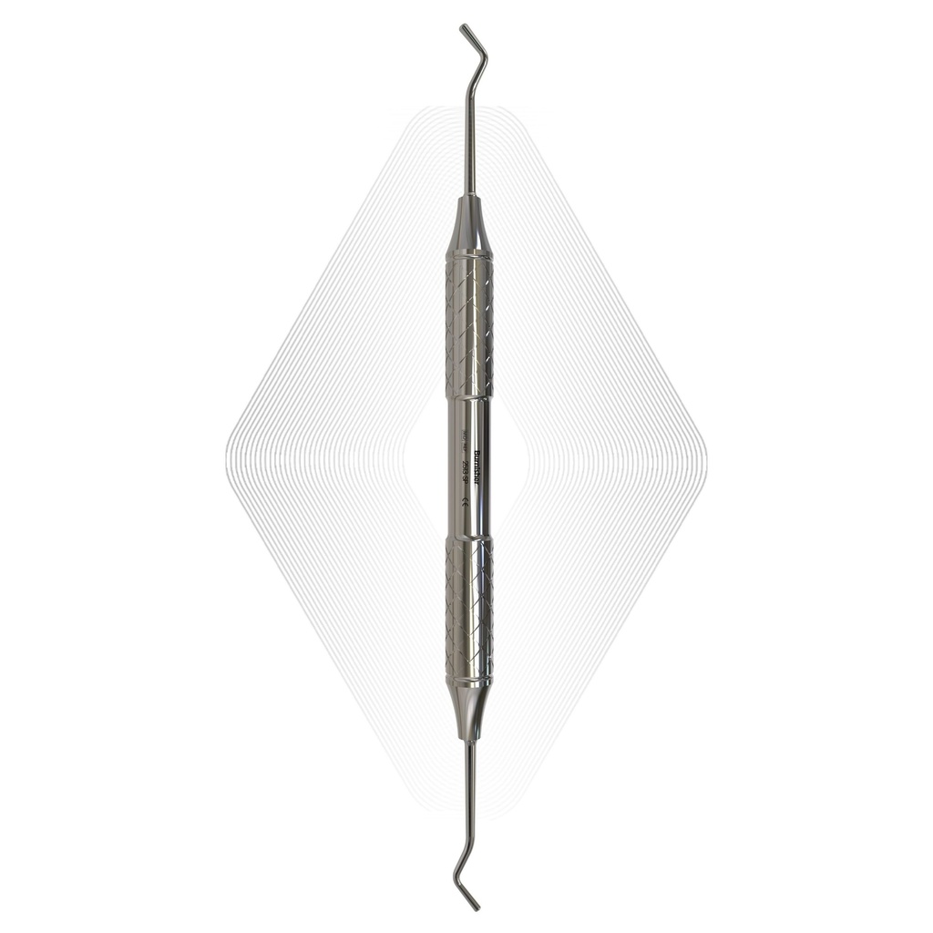 Burnisher | ErgoSteel Mini