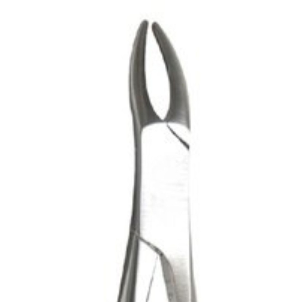 Universal-Upper Roots Extracting Forceps