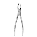 Universal Upper Roots Extracting Forceps | Standard Extraction Forcep | ErgoDenta