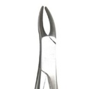 Universal-Upper Roots Extracting Forceps