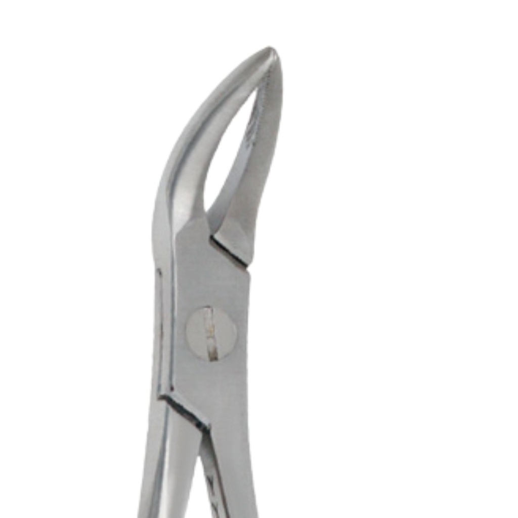 Universal-Lower Roots Extracting Forceps