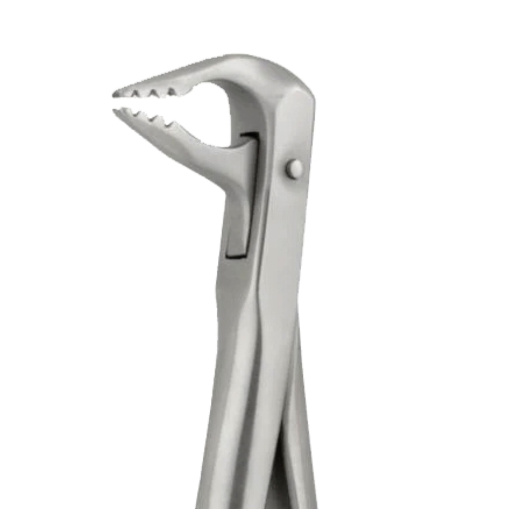 GripMaster Lower Anterior Diamond Extraction Forcep 