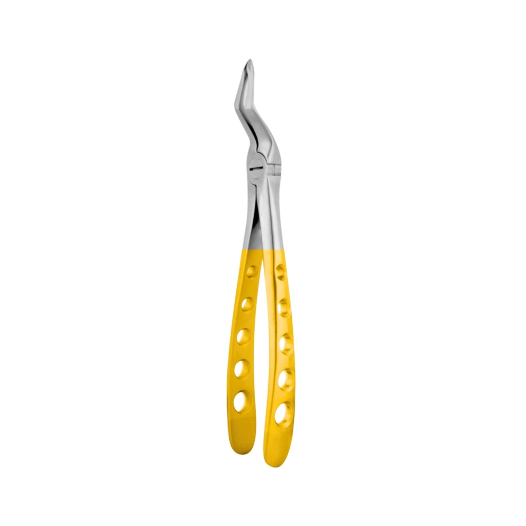 Upper Spade Root | Diamond Extraction Forcep GripMaster | ErgoDenta