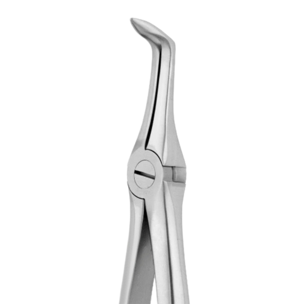 GripMaster Lower Spade Root Diamond Extraction Forceps