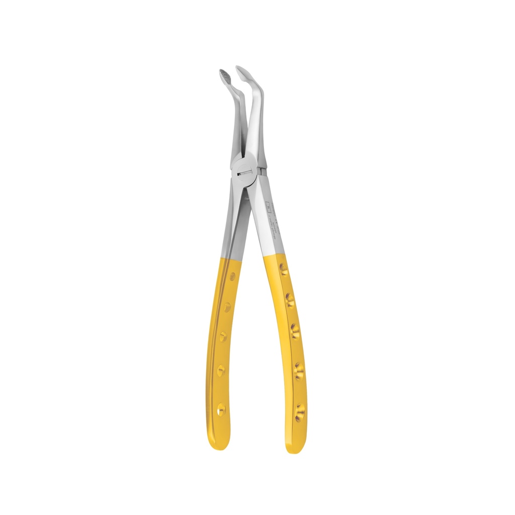 Lower Spade Root | Diamond Extraction Forcep GripMaster | ErgoDenta