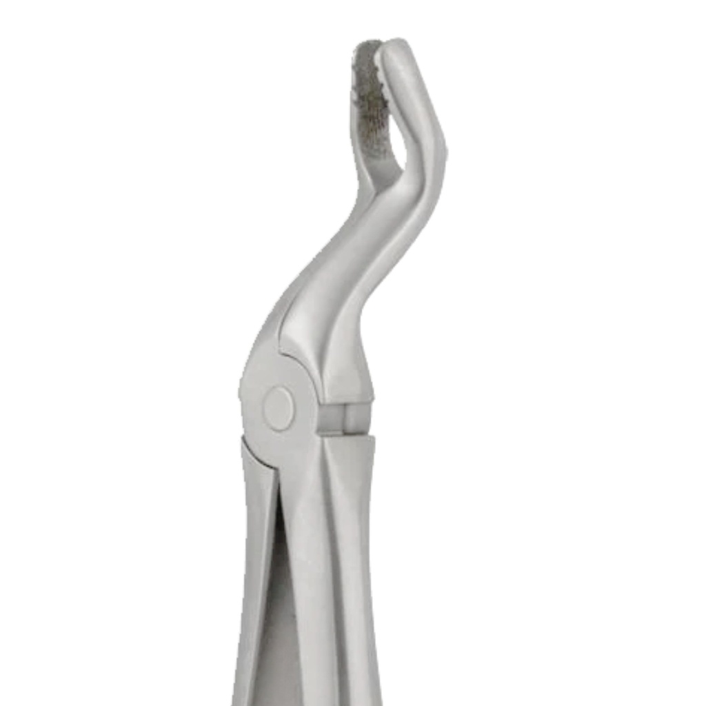 GripMaster Upper Molar Diamond Extraction Forceps