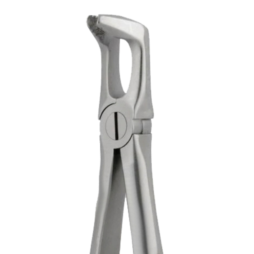 GripMaster Lower  Molar Diamond Extraction Forceps