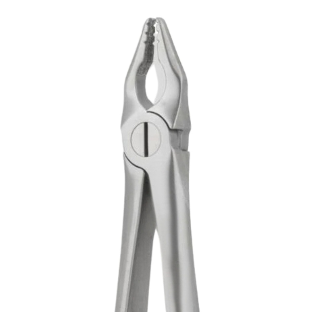 GripMaster Upper Anterior Diamond Extraction Forceps