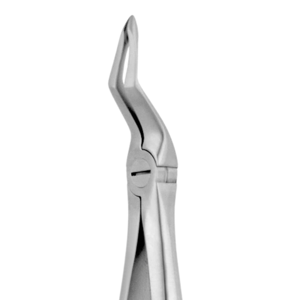 GripMaster Upper Spade Root Diamond Extraction Forcep 