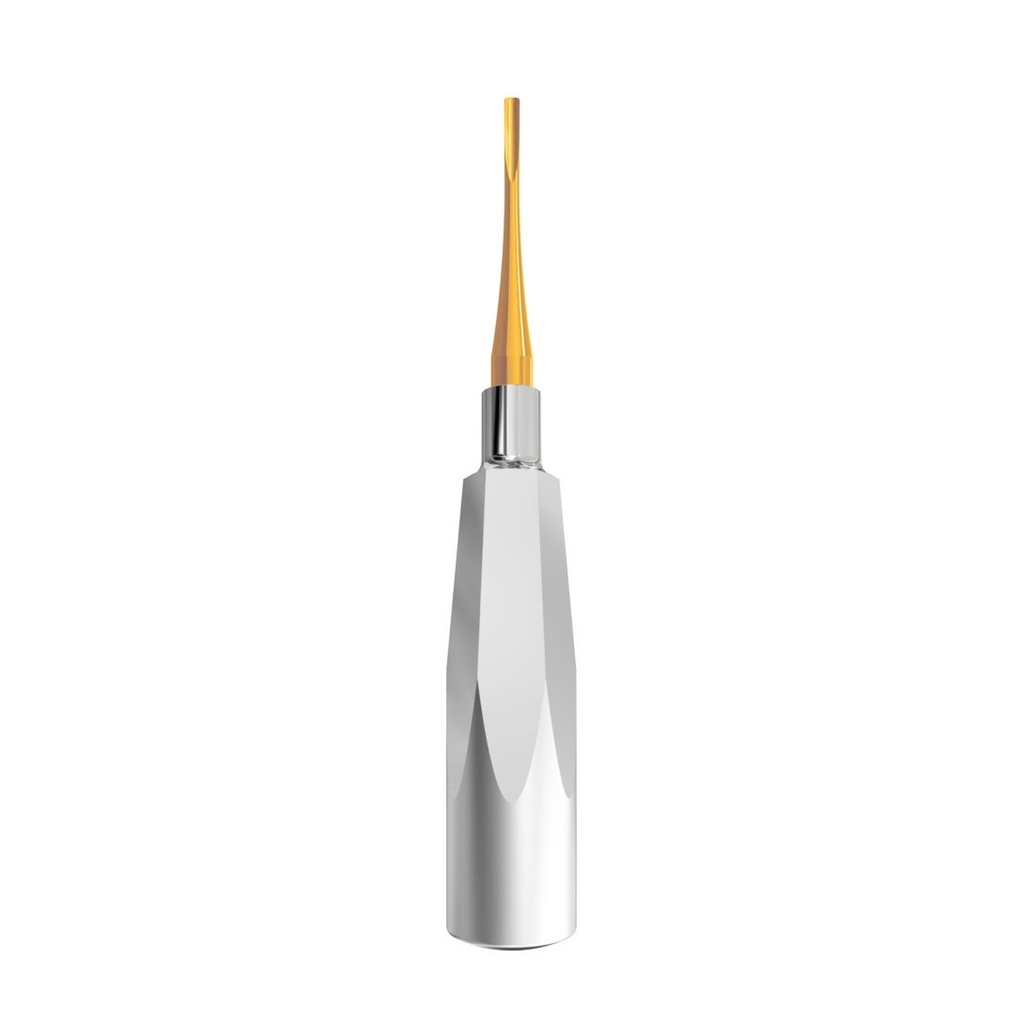 Luxating Elevator Gold, Curved, 3mm — Standard Handle | ErgoDenta