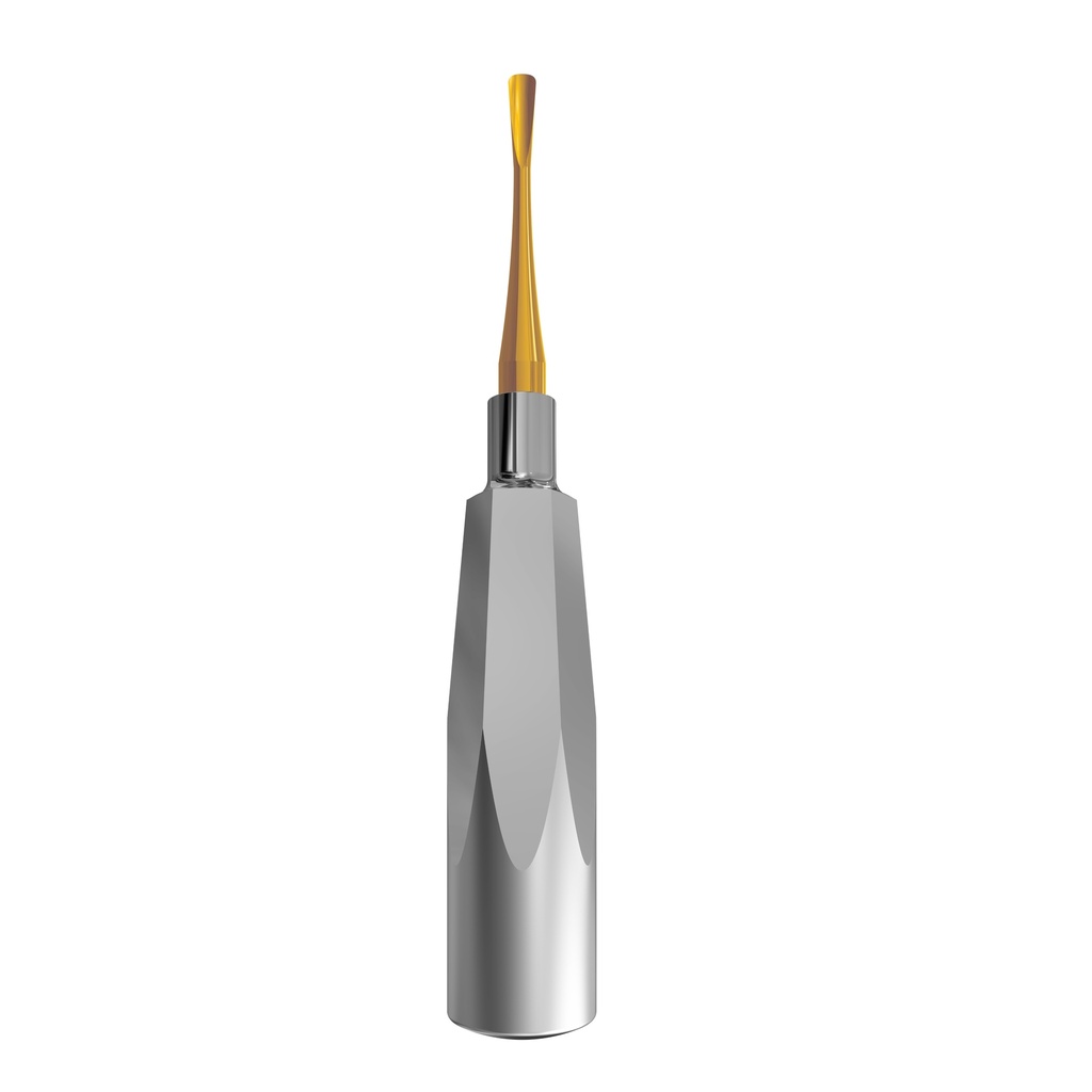 Luxating Elevator Gold, Curved, 5mm — Standard Handle | ErgoDenta