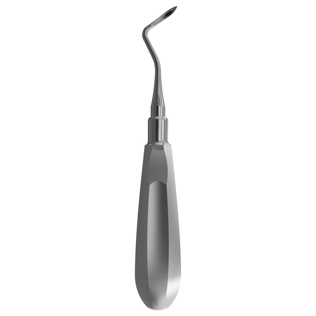 Flohr Root Elevator, Right | ErgoDenta
