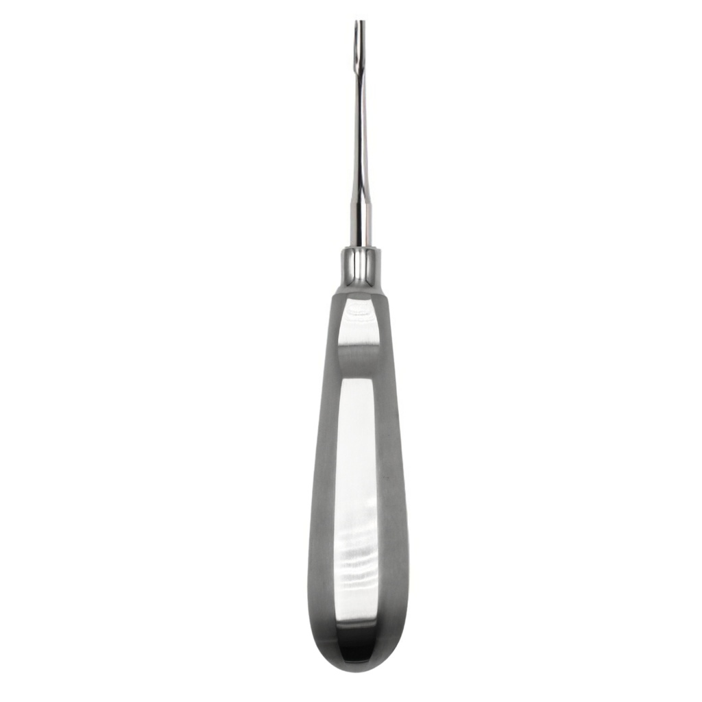 Bein Root Elevator, Straight, Fig. 1 | ErgoDenta