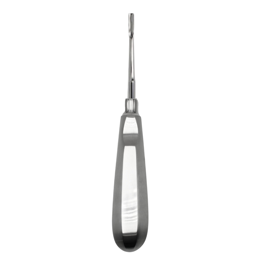 Bein Root Elevator, Straight, Fig. 2 | ErgoDenta