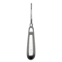 Bein Root Elevator, Straight, Fig. 2 | ErgoDenta