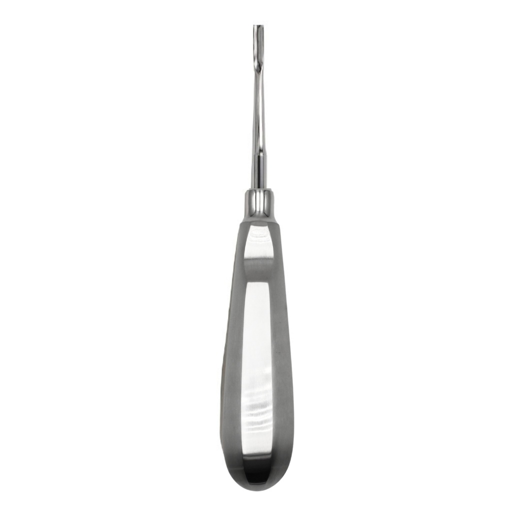 Bein Root Elevator, Straight, Fig. 3 | ErgoDenta