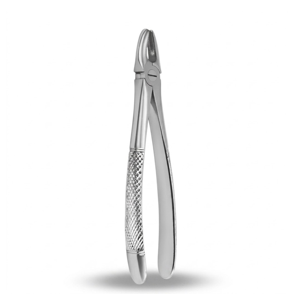 Upper Incisors and Molars | Standard Extraction Forcep | ErgoDenta