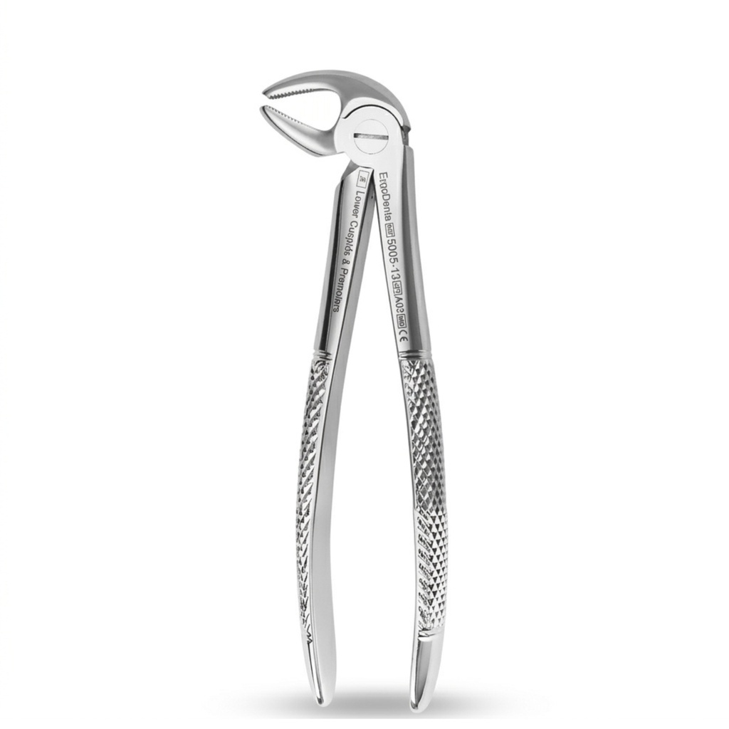 Lower Molars and Premolars | Standard Extraction Forcep | ErgoDenta