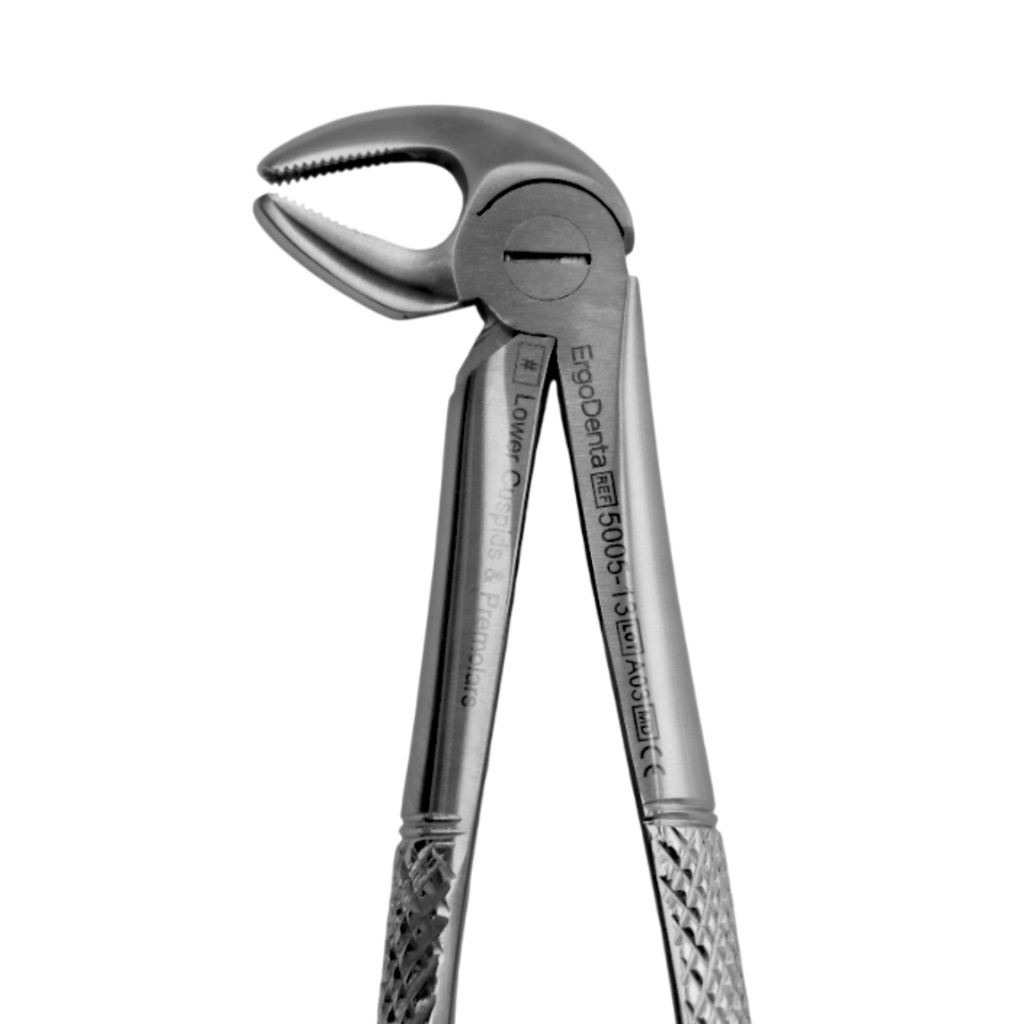 Lower Molars and Premolars | Standard Extraction Forcep | ErgoDenta