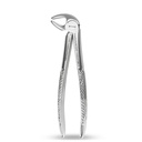 Lower Molars and Premolars | Standard Extraction Forcep | ErgoDenta