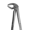 Lower Molars and Premolars | Standard Extraction Forcep | ErgoDenta