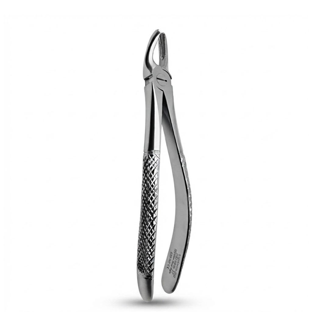 Upper Molars, Right | Standard Extraction Forcep | ErgoDenta