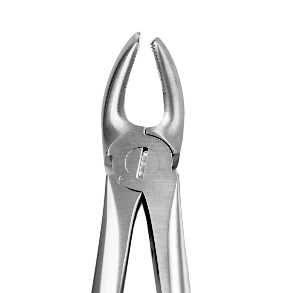 Extraction Forceps  Fig. 18. Upper Molars Left