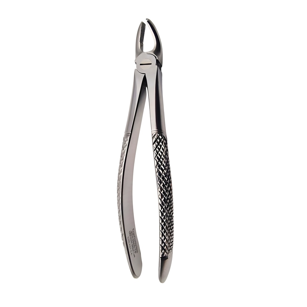 Upper Molars, Left | Standard Extraction Forcep | ErgoDenta