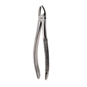 Upper Molars, Left | Standard Extraction Forcep | ErgoDenta