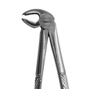 Lower Molars | Standard Extraction Forcep | ErgoDenta