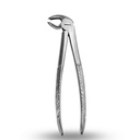 Lower Molars | Standard Extraction Forcep | ErgoDenta