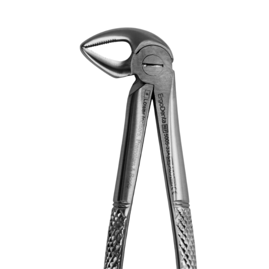 Lower Incisors, Premolars and Roots | Standard Extraction Forcep | ErgoDenta