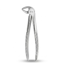 Lower Incisors, Premolars and Roots | Standard Extraction Forcep | ErgoDenta
