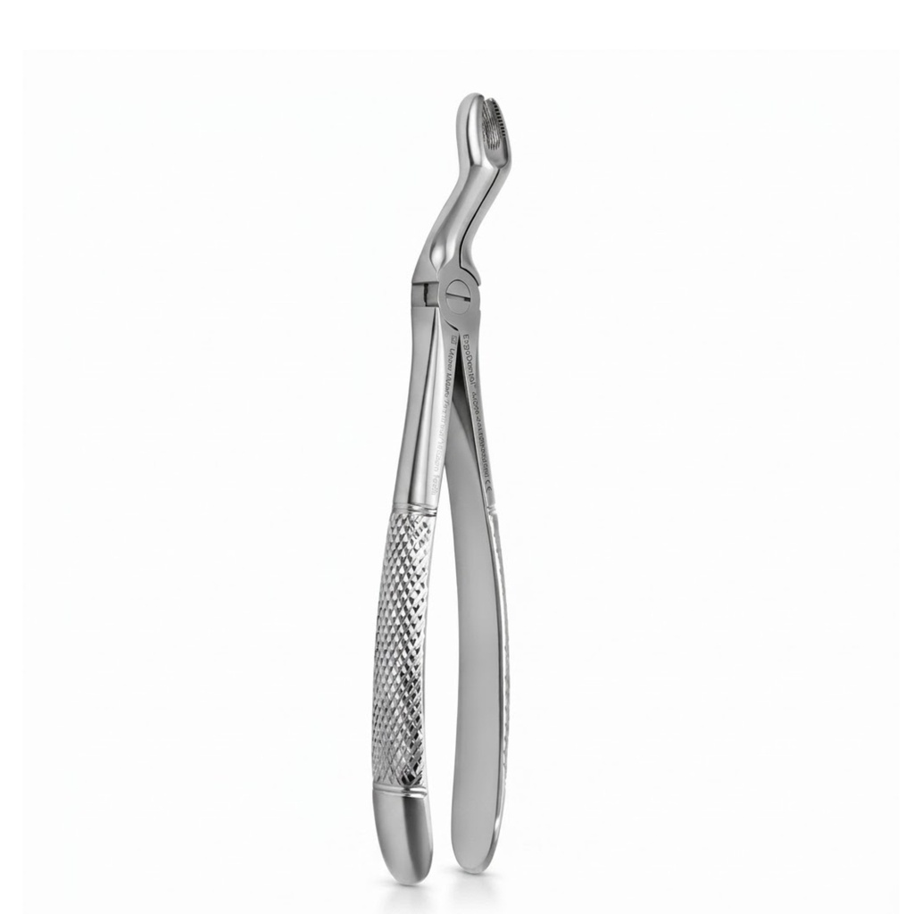 Upper Molars for Upper Wisdom Teeth | Standard Extraction Forcep | ErgoDenta