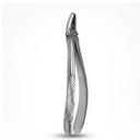 Upper Premolars | Standard Extraction Forcep | ErgoDenta
