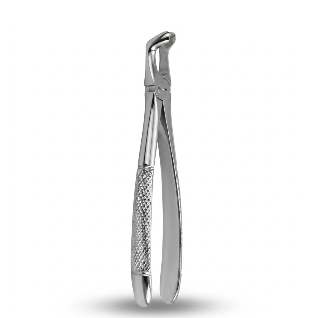 Lower Wisdom Teeth | Standard Extraction Forcep | ErgoDenta