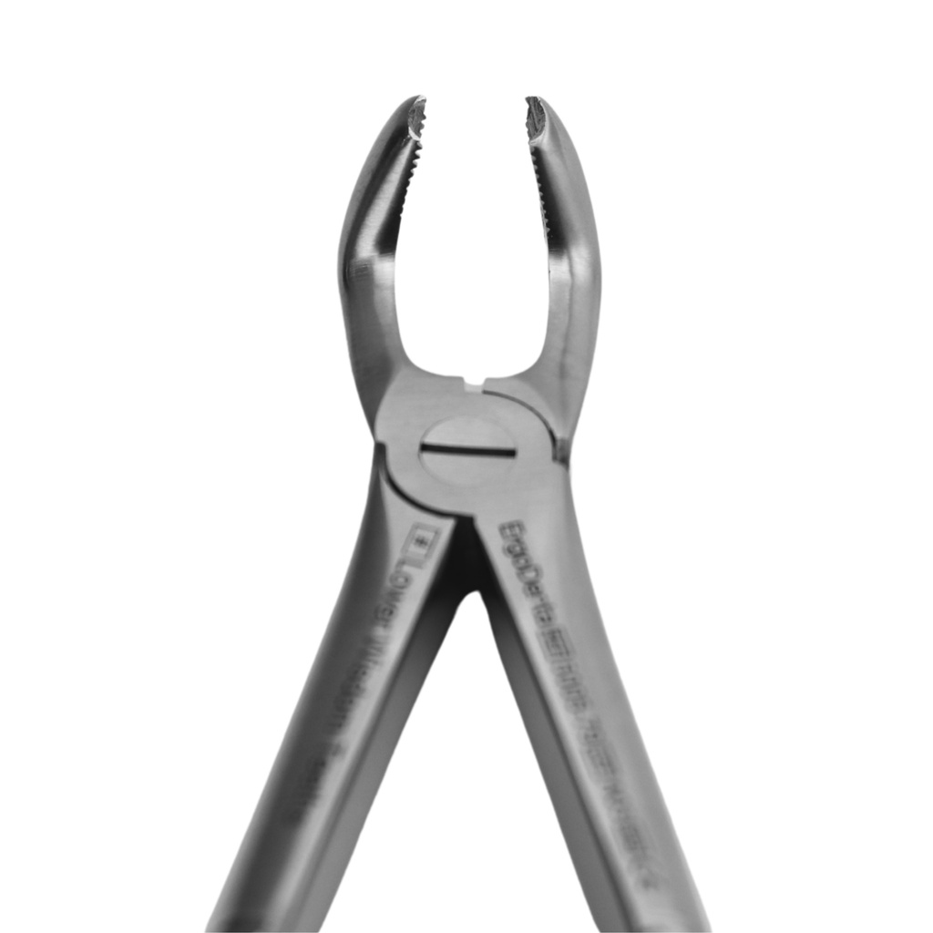Lower Wisdom Teeth | Standard Extraction Forcep | ErgoDenta