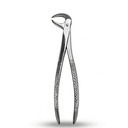 Lower Molars | Standard Extraction Forcep | ErgoDenta