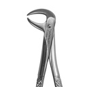 Lower Molars | Standard Extraction Forcep | ErgoDenta