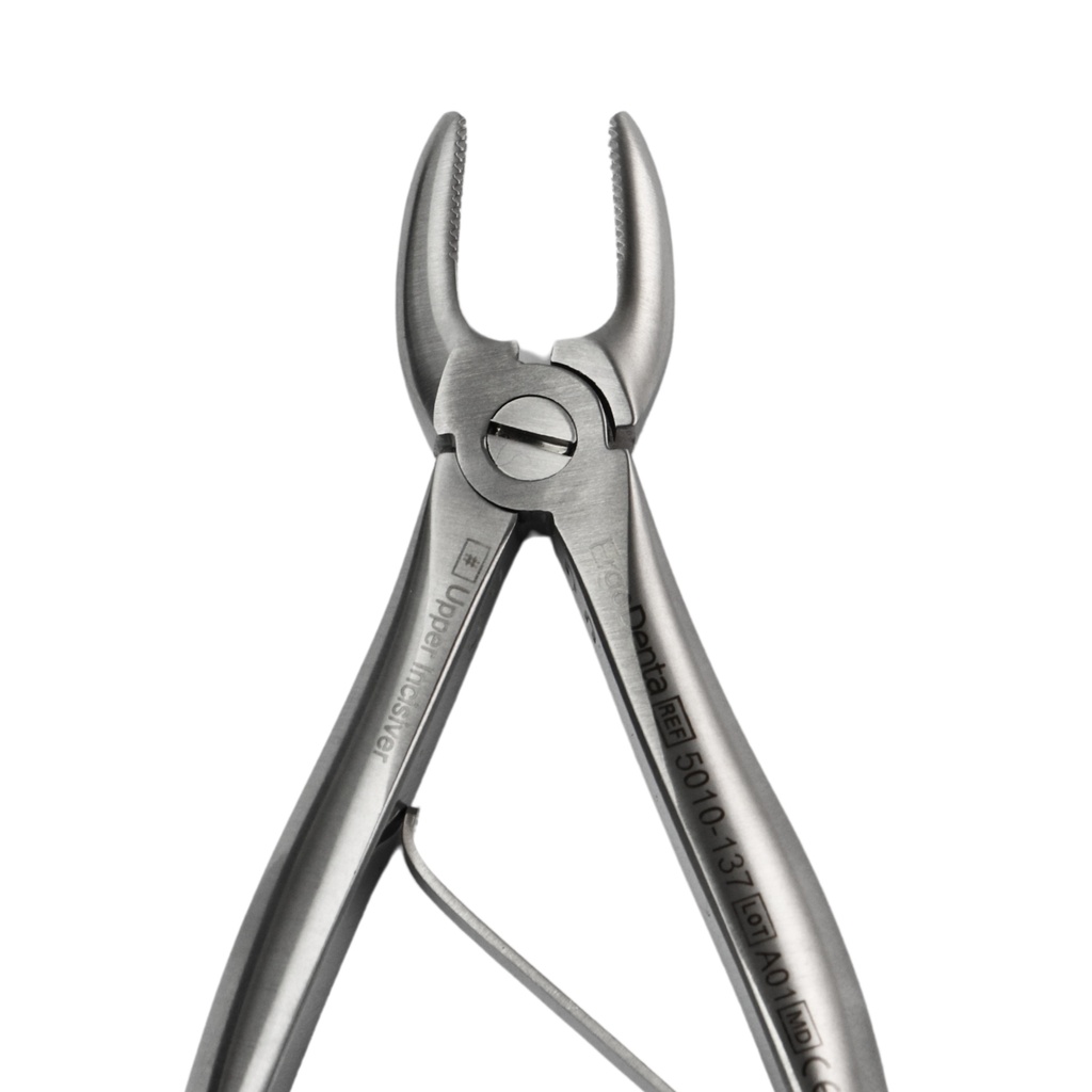 Fig. 137, Upper Incisors | Child Extraction Forcep | ErgoDenta