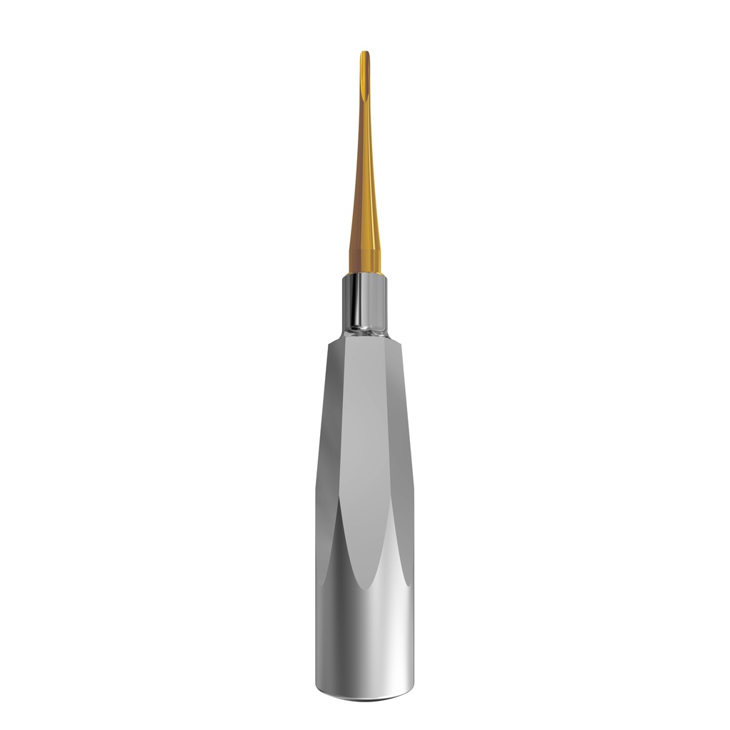 Luxating Elevator Gold, Straight, 2.5mm — Standard Handle | ErgoDenta