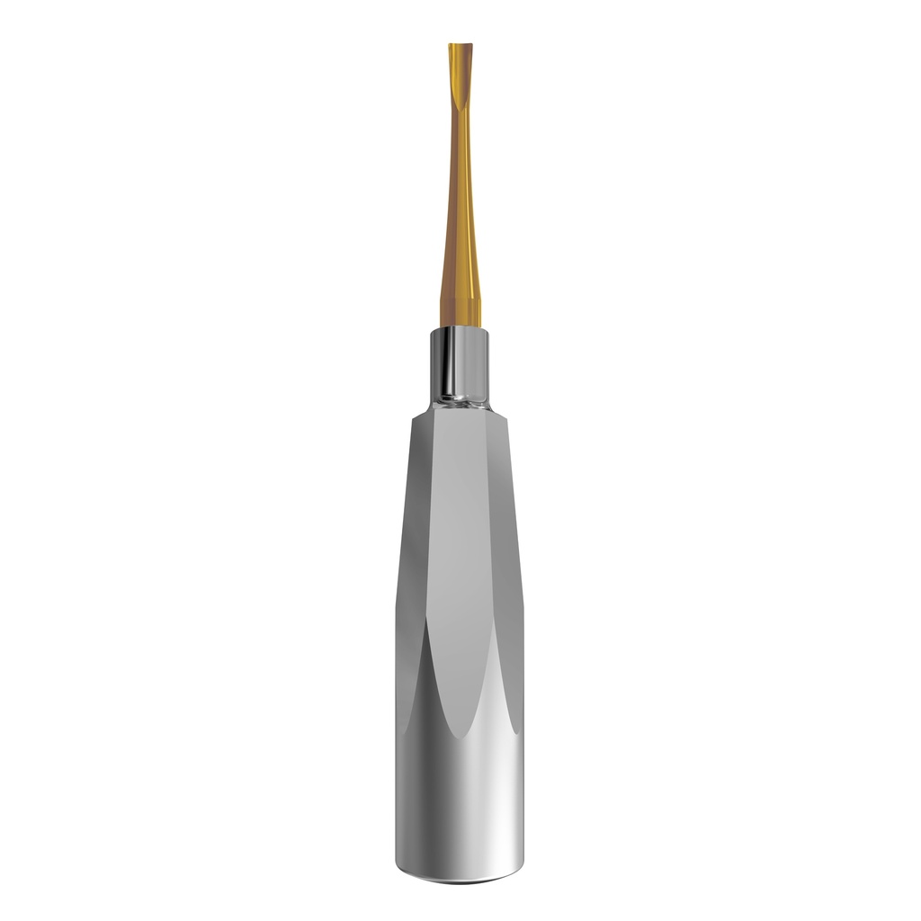 Luxating Elevator Gold, Straight, 5mm — Standard Handle | ErgoDenta
