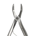 Fig. 3 Upper Molars | Child Extraction Forcep | ErgoDenta