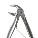 Fig. 6, Lower Molars | Child Extraction Forcep | ErgoDenta