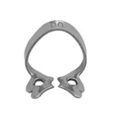 00 - Anterior Rubber Dam Clamps