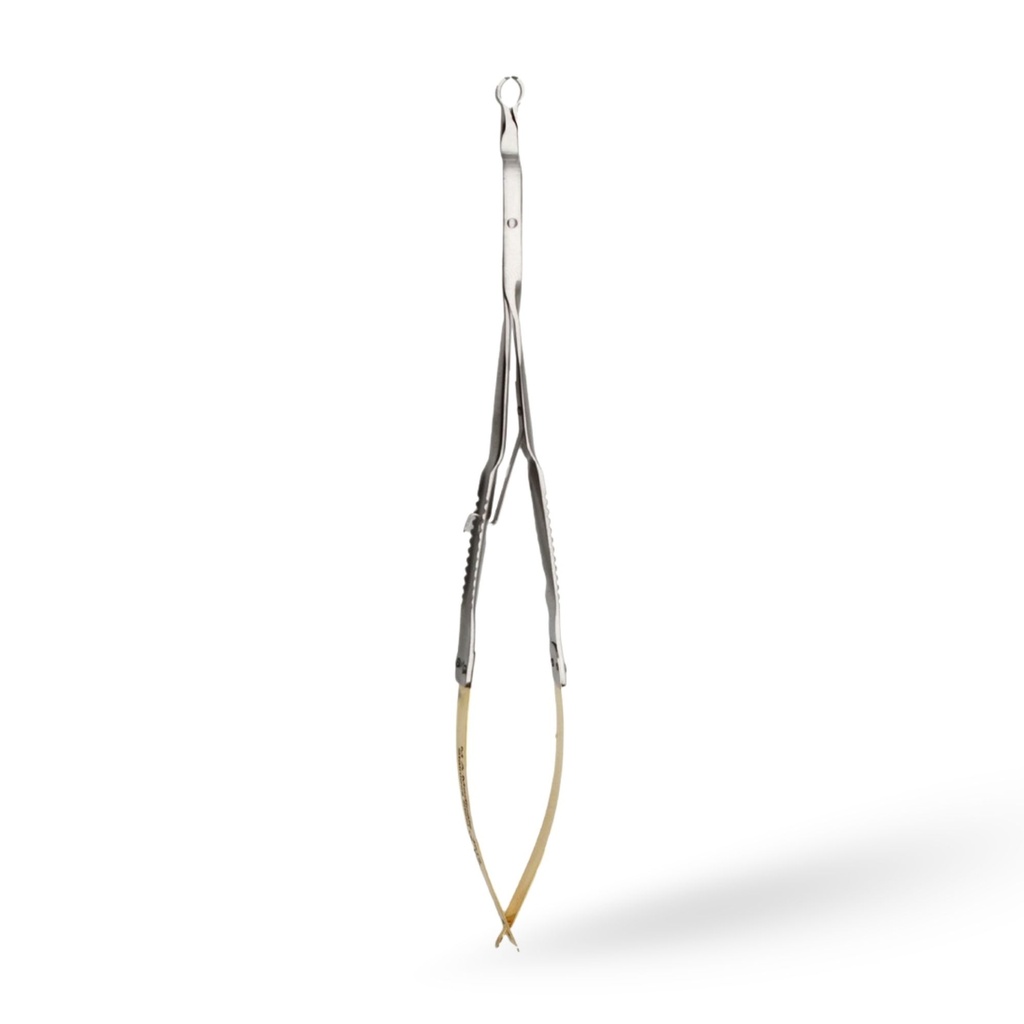 Endodontic File Holder