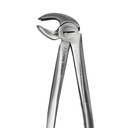 Lower Molars - Fig. 22