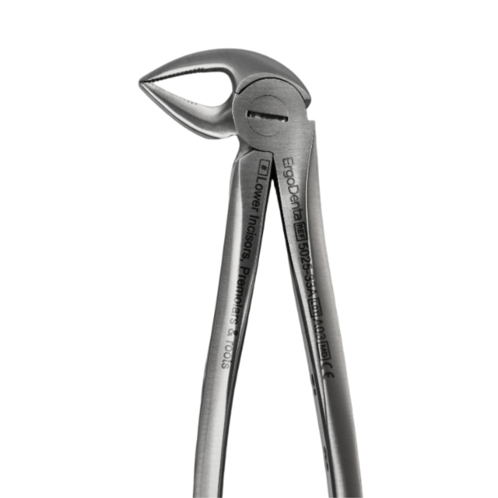 Lower Incisors, Premolars And Roots - Fig. 33A