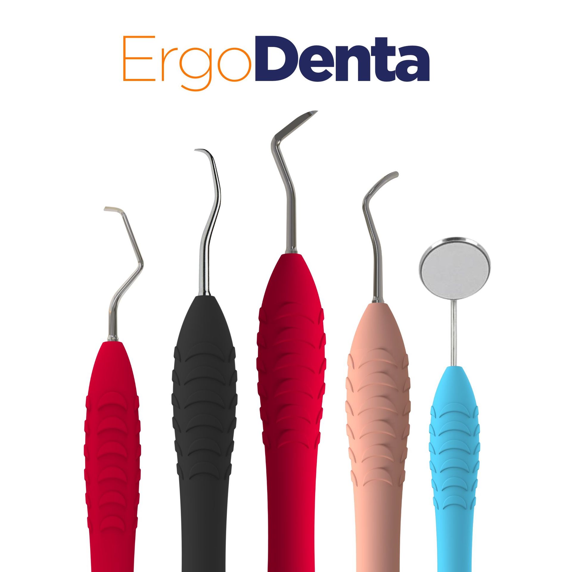 Brand: ErgoDenta